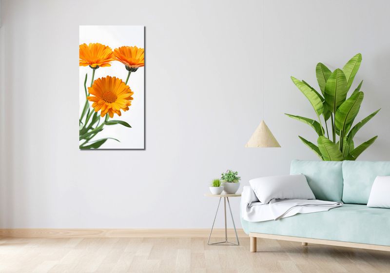 Obraz 50x100cm Słoneczne Kalendule zdjęcie 2