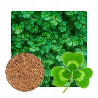 MIKROKONICZYNA NASIONA KONICZYNA DROBNOLISTNA BIAŁA GĘSTA SAMONAWOŻĄCA 500g