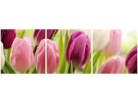 90X30CM SOCZYSTE TULIPANY TRÓJ OBRAZ
