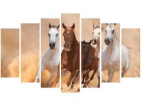 OBRAZ KONIE BIEGNĄCE GALOPEM