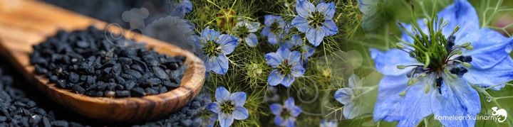 OLEJ Z NASION CZARNUSZKI TŁOCZONY NA ZIMNO nierafinowany Czarnuszka 250ml zdjęcie 6