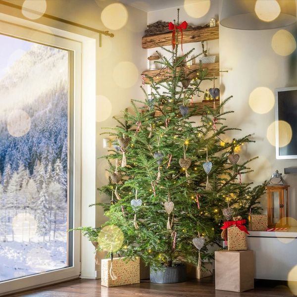 STOJAK POD CHOINKĘ CHOINKI POJEMNIK CHOINKOWY 5 L NA DRZEWKO 1,5 m CZARNY zdjęcie 10