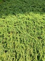 product-compare-58753196