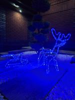 Renifer z Saniami LED Świecący Świąteczny Na Zewnątrz Do Ogrodu Niebieski