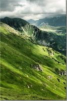 product-compare-58702429