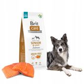 BRIT CARE Senior & Light Salmon 12kg