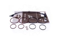 Zestaw naprawczy zmiennych faz rozrządu BMW 3 E36 1995 1996 1997 1998 1999