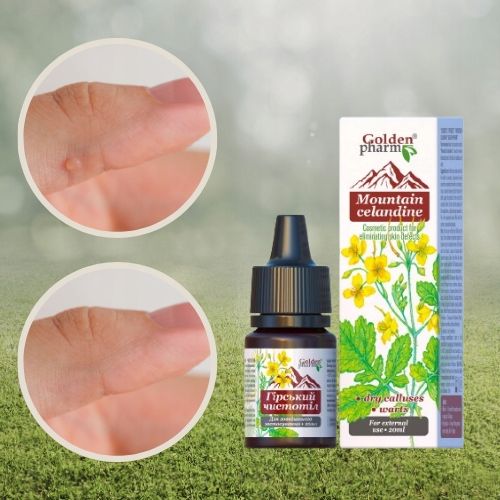 GLISTNIK GÓRSKI JASKÓŁCZE ZIELE WŁÓKNIAKI KURZAJKI BRODAWKI MODZELE 20 ml zdjęcie 4