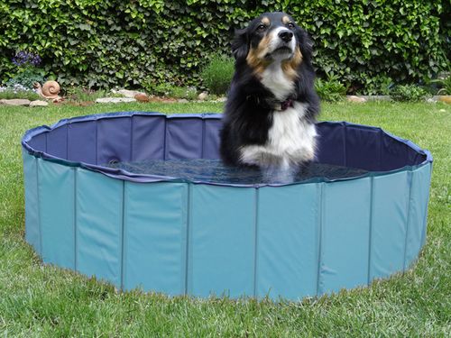 Basen dla psów kotów kojec składany 120x30 cm na Arena.pl
