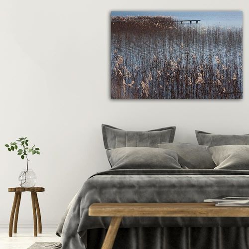 Deco Panel, Trzciny nad morzem 60x40 na Arena.pl