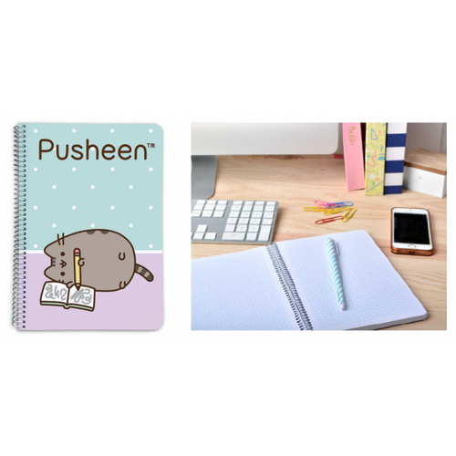 Pusheen Cat Kołonotes A5 na Arena.pl