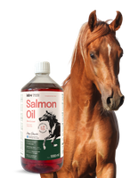 lab-v olej z łososia atlantyckiego 1000 ml dla koni