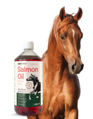 lab-v olej z łososia atlantyckiego 1000 ml dla koni