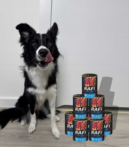 Karma Mokra Dla Psów RAFI z Jagnięciną, Borówką i Żurawiną 400g - 12 szt. na Arena.pl