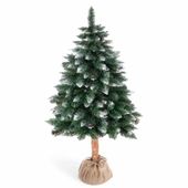 CS/HOM/SOSNA/CRISTAL/PIEN/180