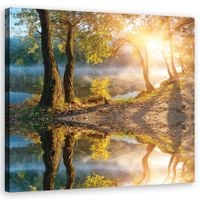 OBRAZ NA PŁÓTNIE Las Krajobraz Natura