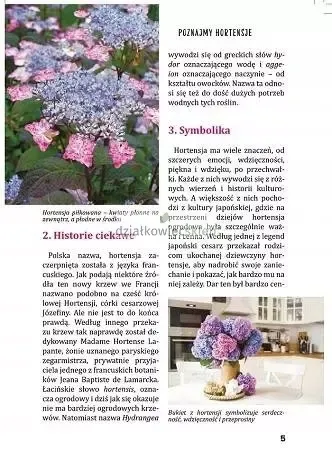 Hortensje od A do Z na Arena.pl