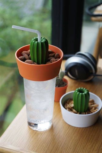 Miseczka na przekąski Cacnuts pomarańczowo-zielona 10284-OR-GN na Arena.pl