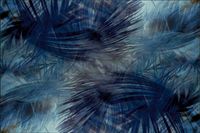 Tło fotograficzne Produktowe FLAT LAT Kulinarne