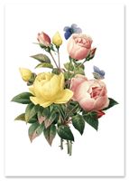 product-compare-61320869