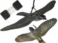 JASTRZĄB W LOCIE DUŻY ODSTRASZACZ PTAKÓW GOŁĘBI SZKODNIKÓW REALISTYCZNY