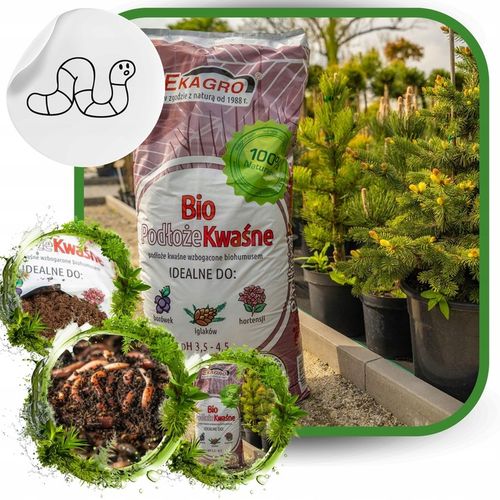 Torf Kwaśny Podłoże z EKO Nawozem BORÓWKA IGLAKI na Arena.pl