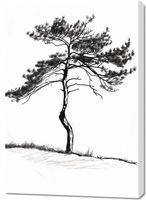 Obraz 70x100cm Samotna Sosna