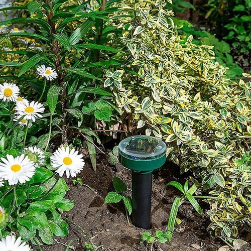 DUŻY Zestaw 4x ODSTRASZACZ na KRETY MYSZY KUNY GRYZONIE SOLARNY ZASIĘG na Arena.pl