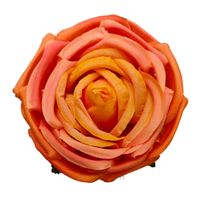 Róża wyrobowa pomarańczowa 12 szt