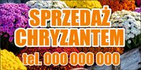 BANER OCZKOWANY reklamowy 100x50 cm różne wzory SPRZEDAŻ CHRYZANTEM