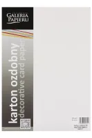 KARTON OZDOBNY PŁÓTNO BIAŁY 20SZT GALERIA PAPIERU