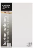KARTON OZDOBNY PŁÓTNO BIAŁY 20SZT GALERIA PAPIERU
