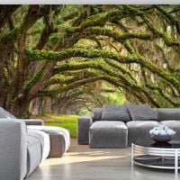 product-compare-63667394