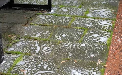 APC OUT P12 Tenzi 5l doczyszczenie elewacji dachów na Arena.pl