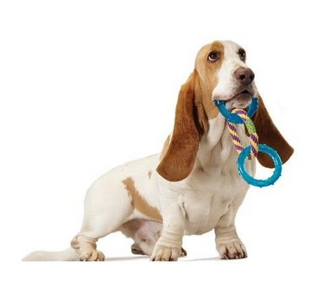 Petstages Mini Orka 3 okręgi PS239 na Arena.pl