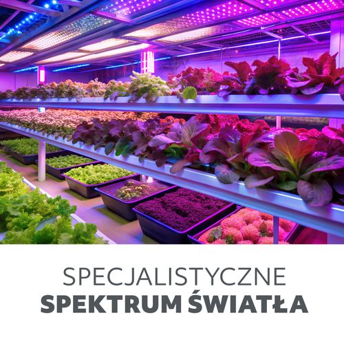 żarówka do roślin led planty 24w e27 1200k kobi na Arena.pl