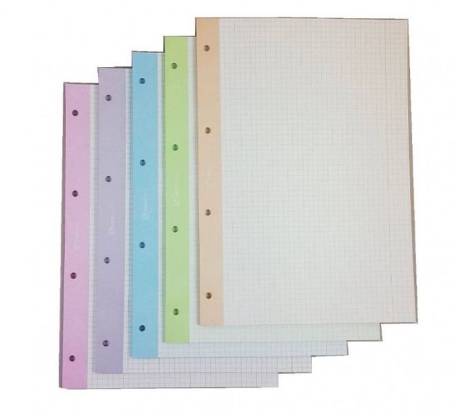 WKŁAD DO SEGREGATORA A4 50 KRATKA KOLOR INTERDRUK zdjęcie 1