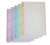 WKŁAD DO SEGREGATORA A4 50 KRATKA KOLOR INTERDRUK