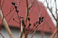 product-compare-57994204