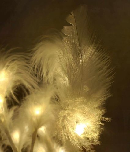 Dekoracja drzewko led ozdobne z piórkami światło BIAŁE CIEPŁE na Arena.pl