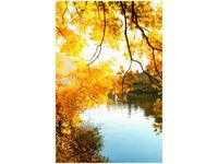 product-compare-58649394