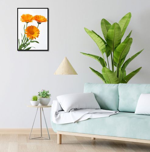 Plakat 40x55cm Słoneczne Kalendule na Arena.pl