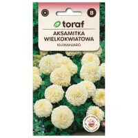 Aksamitka wielkokwiatowa KILIMANJARO 0,3g