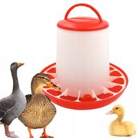 Karmidło Karmnik dla Kur Kaczek Drobiu 6kg