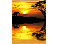 40X50CM AFRYKA OBRAZ