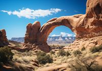 Plakat 66,5x46,5cm Triumf Natury