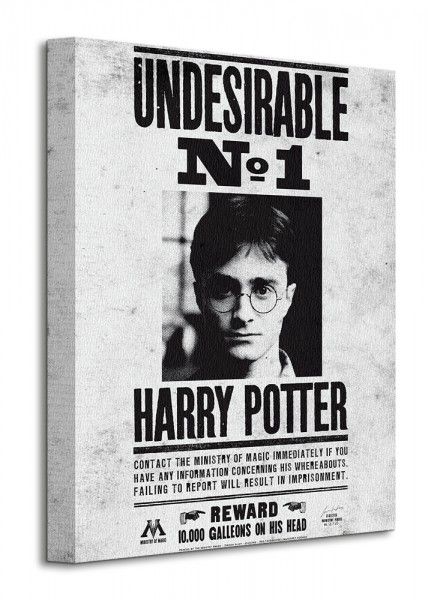 Harry Potter Undesirable No.1 - Obraz na płótnie 30x40 cm zdjęcie 1