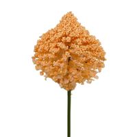 Kuflik pojedynczy brzoskwiniowy