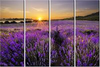 120CM 80 OBRAZ 4 ELEM POLE LAWENDY ŚCIENNY