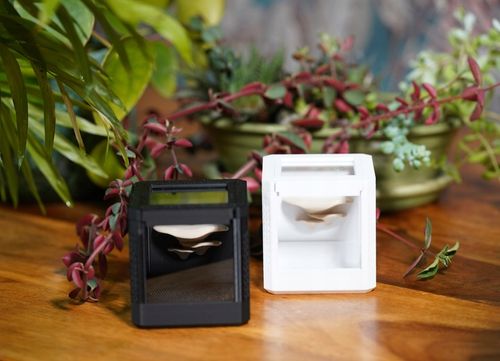 Terrarium szklane -6,5 x 6,5 x 6,5 dla pająka, modliszki, skakuna na Arena.pl